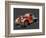 Vintage Truck I-Emily Kalina-Framed Premium Giclee Print