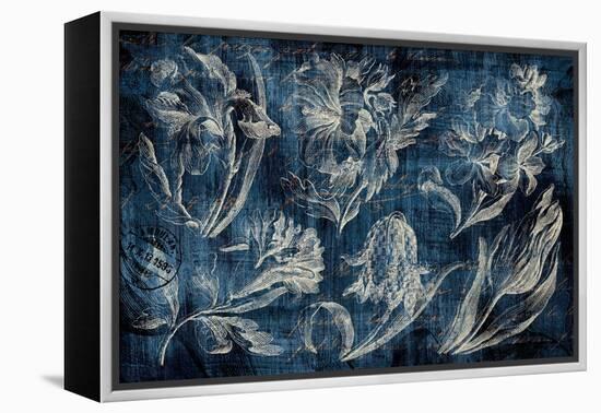 Vintage Tulip Floral Etching Indigo-Hugo Wild-Framed Stretched Canvas