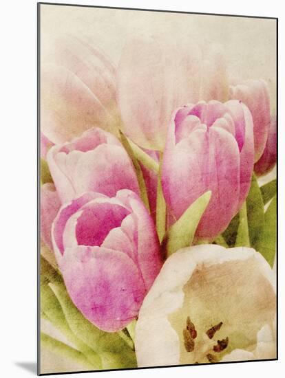 Vintage Tulip I-Collezione Botanica-Mounted Giclee Print