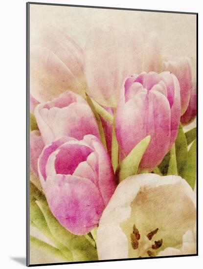 Vintage Tulip I-Collezione Botanica-Mounted Giclee Print