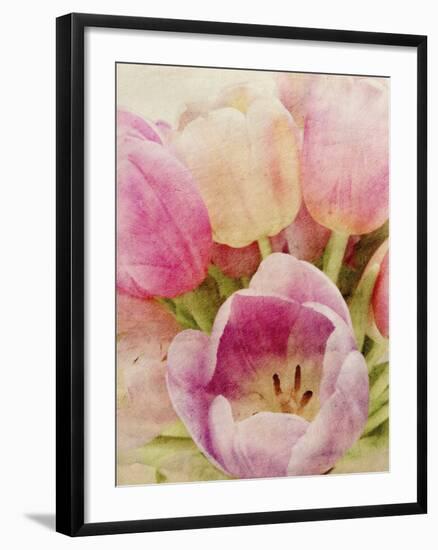 Vintage Tulip II-Collezione Botanica-Framed Giclee Print