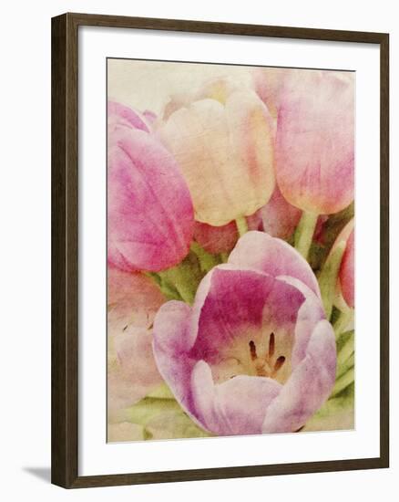 Vintage Tulip II-Collezione Botanica-Framed Giclee Print