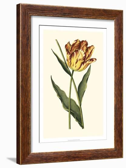 Vintage Tulips I-Vision Studio-Framed Art Print