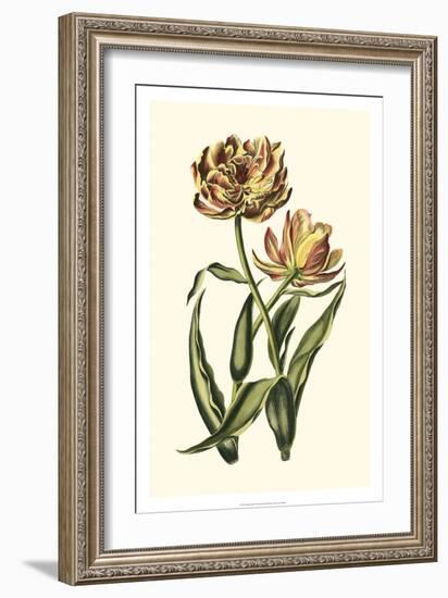 Vintage Tulips IV-Vision Studio-Framed Art Print