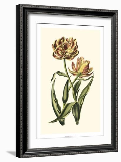 Vintage Tulips IV-Vision Studio-Framed Art Print