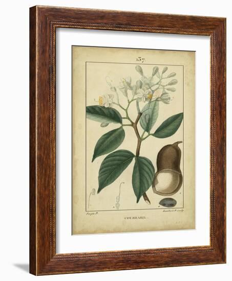 Vintage Turpin Botanical I-Turpin-Framed Art Print