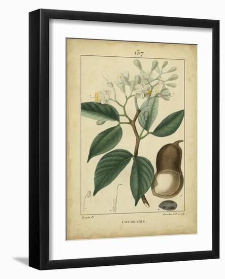 Vintage Turpin Botanical I-Turpin-Framed Art Print