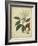 Vintage Turpin Botanical I-Turpin-Framed Art Print