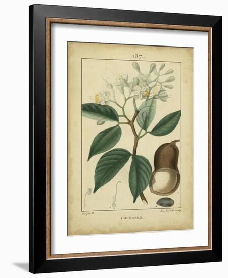 Vintage Turpin Botanical I-Turpin-Framed Art Print