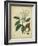 Vintage Turpin Botanical I-Turpin-Framed Art Print