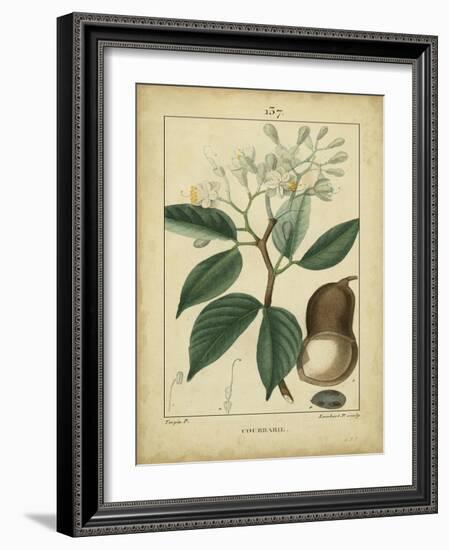 Vintage Turpin Botanical I-Turpin-Framed Art Print