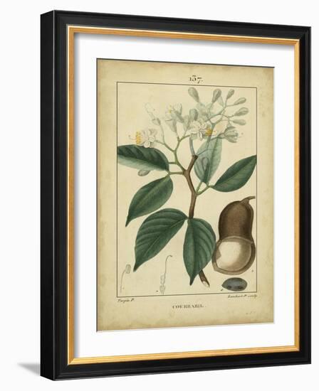 Vintage Turpin Botanical I-Turpin-Framed Art Print