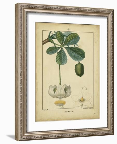 Vintage Turpin Botanical II-Turpin-Framed Art Print