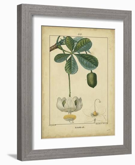 Vintage Turpin Botanical II-Turpin-Framed Art Print