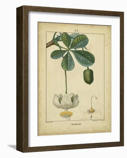 Vintage Turpin Botanical II-Turpin-Framed Art Print