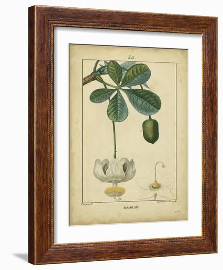 Vintage Turpin Botanical II-Turpin-Framed Art Print