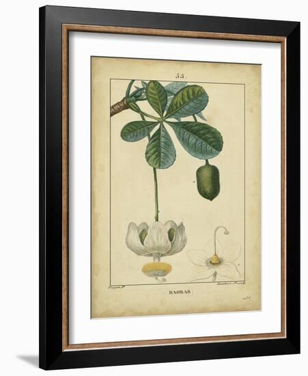 Vintage Turpin Botanical II-Turpin-Framed Art Print