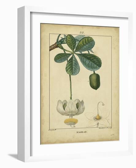 Vintage Turpin Botanical II-Turpin-Framed Art Print