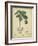 Vintage Turpin Botanical II-Turpin-Framed Art Print