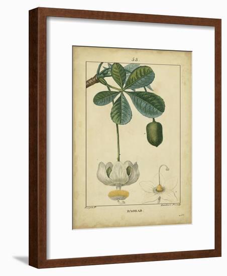 Vintage Turpin Botanical II-Turpin-Framed Art Print