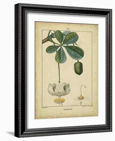 Vintage Turpin Botanical II-Turpin-Framed Art Print