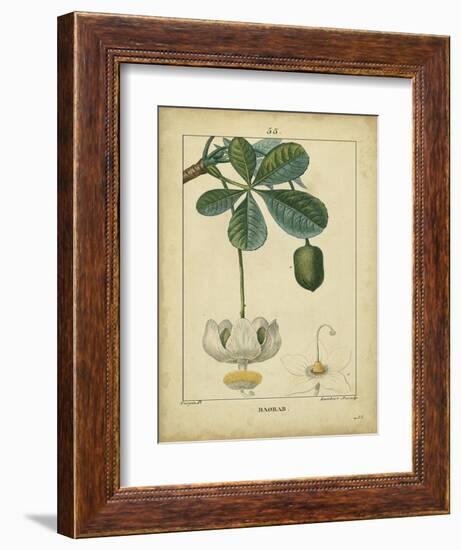 Vintage Turpin Botanical II-Turpin-Framed Premium Giclee Print