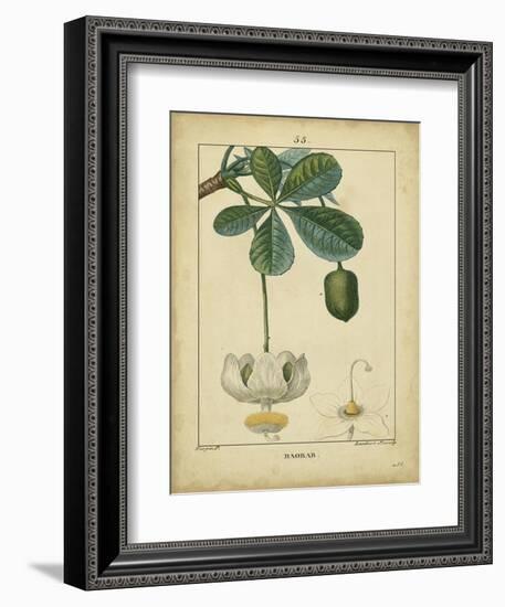 Vintage Turpin Botanical II-Turpin-Framed Premium Giclee Print