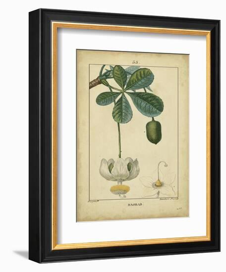 Vintage Turpin Botanical II-Turpin-Framed Premium Giclee Print