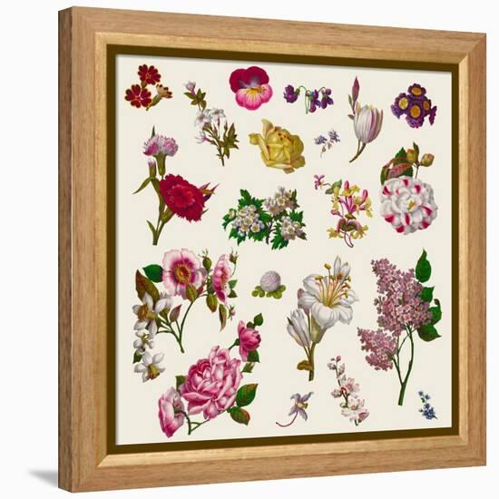 Vintage Victorian Flowers Clip Art-Karimala-Framed Stretched Canvas