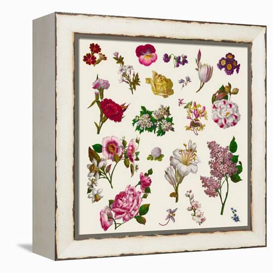 Vintage Victorian Flowers Clip Art-Karimala-Framed Stretched Canvas