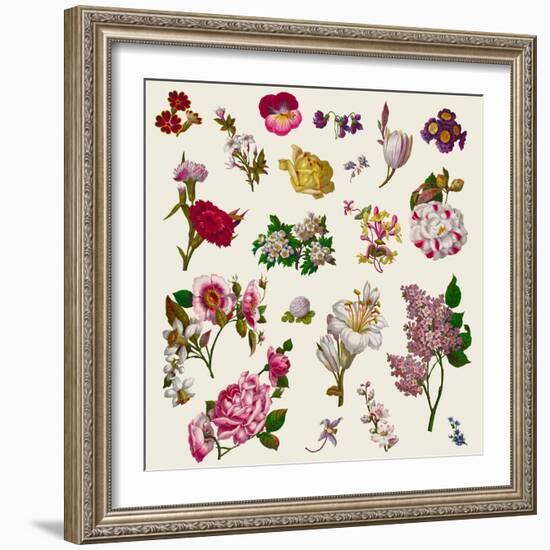 Vintage Victorian Flowers Clip Art-Karimala-Framed Art Print