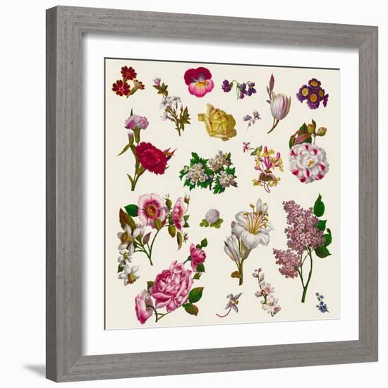 Vintage Victorian Flowers Clip Art-Karimala-Framed Art Print