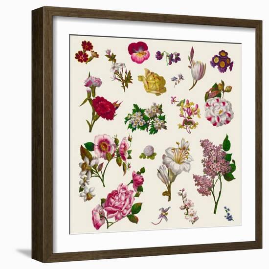 Vintage Victorian Flowers Clip Art-Karimala-Framed Art Print