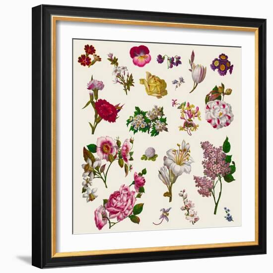 Vintage Victorian Flowers Clip Art-Karimala-Framed Art Print