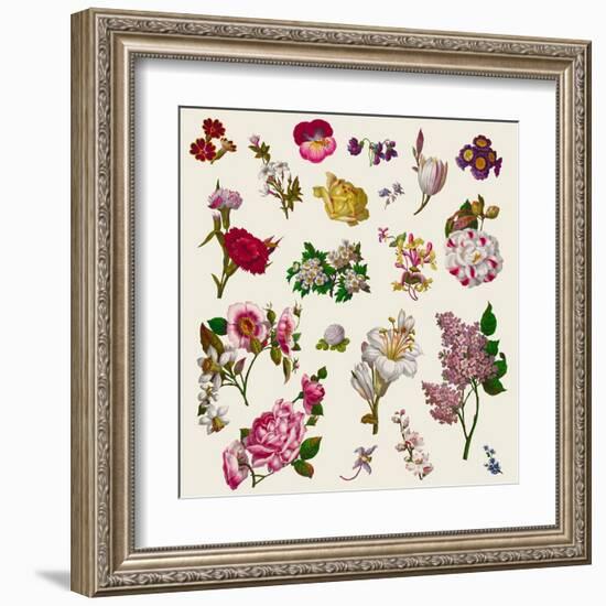 Vintage Victorian Flowers Clip Art-Karimala-Framed Art Print