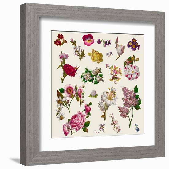 Vintage Victorian Flowers Clip Art-Karimala-Framed Art Print