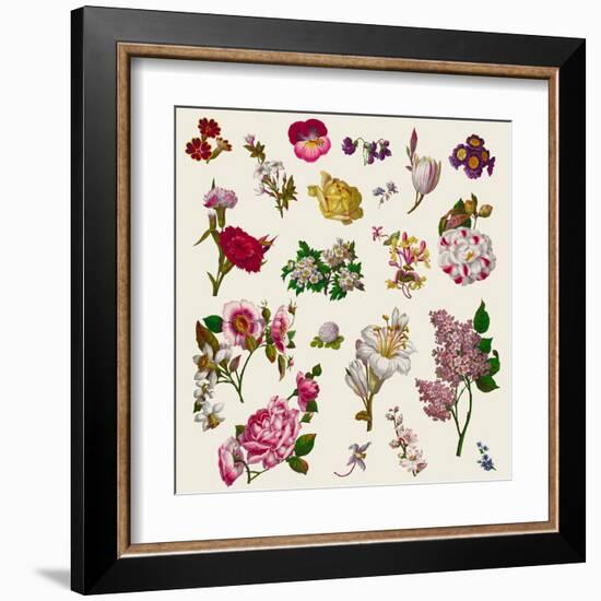 Vintage Victorian Flowers Clip Art-Karimala-Framed Art Print