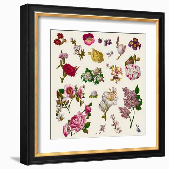 Vintage Victorian Flowers Clip Art-Karimala-Framed Art Print