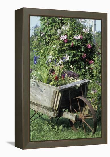 Vintage Wheelbarrow with Flowers-null-Framed Premier Image Canvas