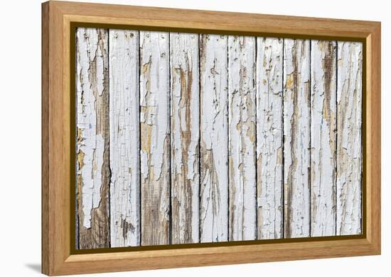 Vintage White Background of Natural Wood Old Wall-H2Oshka-Framed Premier Image Canvas