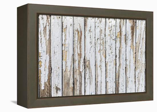 Vintage White Background of Natural Wood Old Wall-H2Oshka-Framed Premier Image Canvas