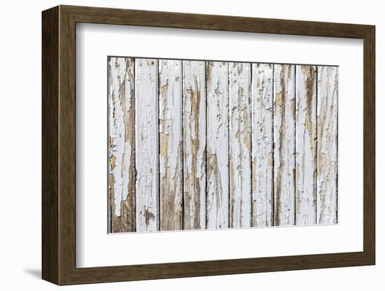 Vintage White Background of Natural Wood Old Wall-H2Oshka-Framed Photographic Print