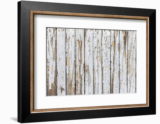 Vintage White Background of Natural Wood Old Wall-H2Oshka-Framed Photographic Print