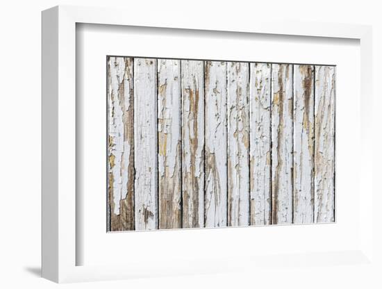 Vintage White Background of Natural Wood Old Wall-H2Oshka-Framed Photographic Print