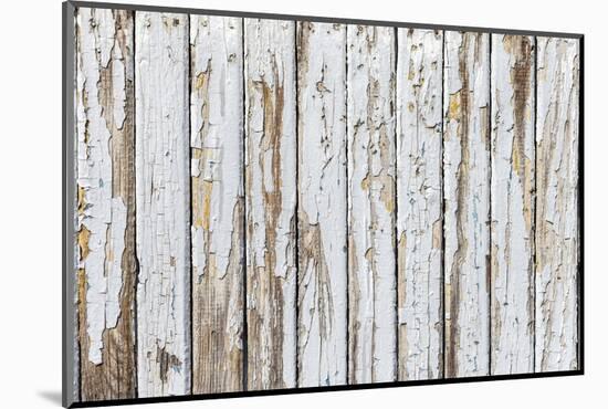 Vintage White Background of Natural Wood Old Wall-H2Oshka-Mounted Photographic Print