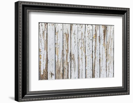 Vintage White Background of Natural Wood Old Wall-H2Oshka-Framed Photographic Print