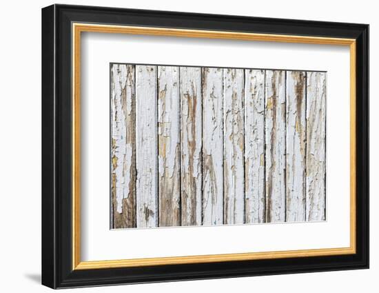 Vintage White Background of Natural Wood Old Wall-H2Oshka-Framed Photographic Print