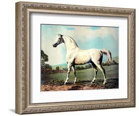 Vintage White Horse Chromolithograph "Mambrino," from the Picture by George Stubbs 1817-Piddix-Framed Art Print