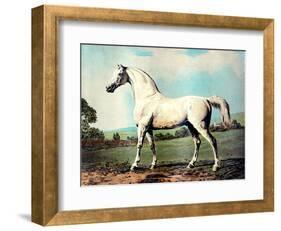 Vintage White Horse Chromolithograph "Mambrino," from the Picture by George Stubbs 1817-Piddix-Framed Art Print