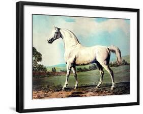 Vintage White Horse Chromolithograph "Mambrino," from the Picture by George Stubbs 1817-Piddix-Framed Art Print